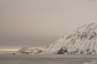 
DSC00179